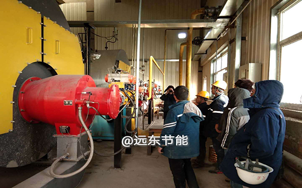 苏州定制生物质燃烧器厂商